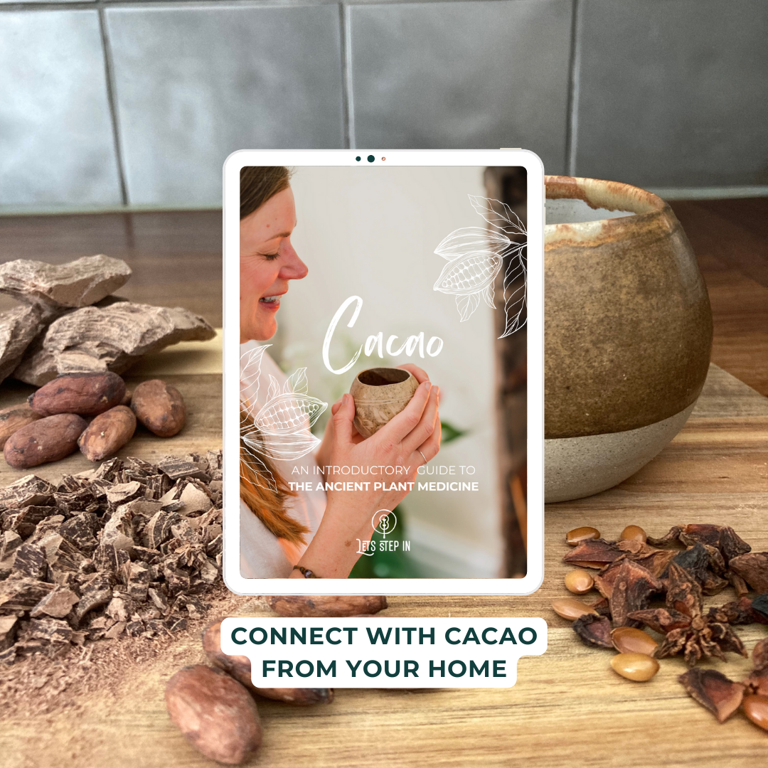 Cacao: An Introductory Guide — Lets Step In Cacao: An Introductory Guide — Lets Step In